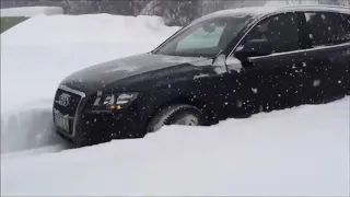 Audi Quattro vs BMW xDrive in Snow   Ауди или БМВ кто есть кто ?!