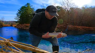 Catching BIG Brown Trout From A Trophy Trout River!