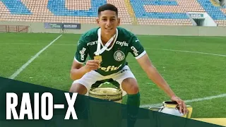 RAIO-X DAS CRIAS: GUSTAVO MANCHA