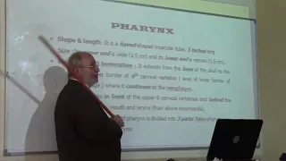 anatomy of the pharny, pharyngeal muscles and the gaps related to the pharnyx by Dr.Wahdan