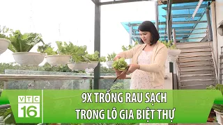 9X trồng rau sạch trong lô gia biệt thự | Làm nông trong phố | VTC16