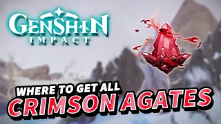 Genshin Impact All CRIMSON AGATES Locations in Dragonspine