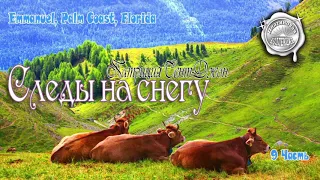 Следы на снегу 9 часть