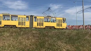 Трамваї на маршруті