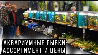 Птичий Рынок Выставка Ульм! Аквариумные рыбки, растения, корма, оборудование и новинки!