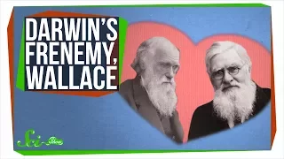 Wallace, Darwin's Forgotten Frenemy