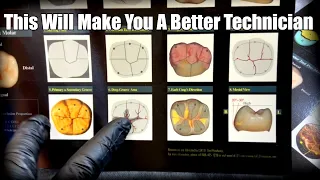 How To Become A Master Technician: Mastering Tooth Morphology