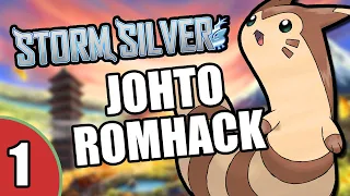 It's The Start Of Another Hardcore Nuzlocke Of A Drayano Rom Hack! - Pokemon Storm Silver