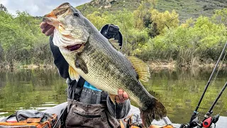 Catching A Double Digit Bass( FISH OF A LIFETIME)