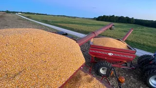 Soft Start Into Corn Harvest