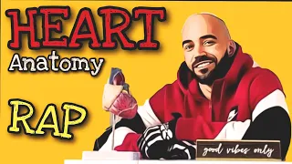 Heart Anatomy & Phisiology | How it Works (FUNdamental RAPS) Educational Song