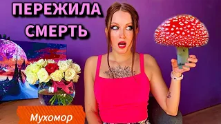 СЪЕЛА МУХОМОР И ПОПАЛА В АД! МУХОМОРНЫЙ БЭДТРИП 🍄