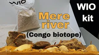 Delta râului Congo în casa ta. (Poti amenaja un acvariu biotop cu kitul Mere de la Wio)