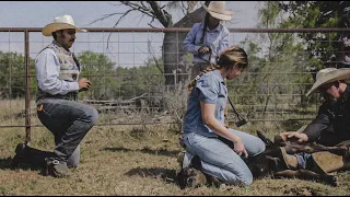 Romance at the Branding Pen - Rodeo Time 297