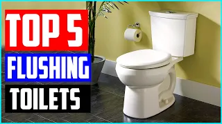 Top 5 Best Flushing Toilets in 2020