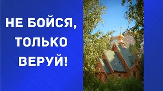 СВЯЩЕННИК РЯДОМ. Молебен о здравии. Ответы на острые вопросы сегодняшнего дня. Эфир 9 апреля.Часть1.