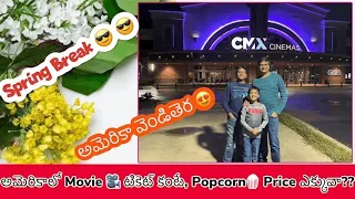 Movie Theaters in USA | Bowling Alley | Frozen Yogurt | USA Telugu Vlogs |Telugu Vlogs from USA