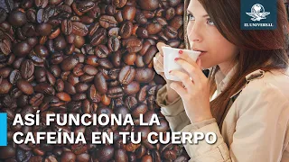 ¿Cómo aprovechar la cafeína para mantener tu cuerpo en forma?