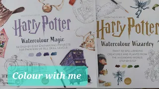 Full flip through & demo -Harry Potter Watercolour books-Water colour Magic & Watercolour Wizardry