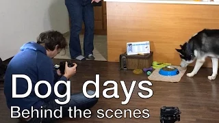 Dog days [Behind the scenes]