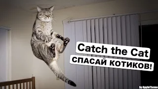 Убивалка времени на iPhone! Спасай котов в Catch the Cat