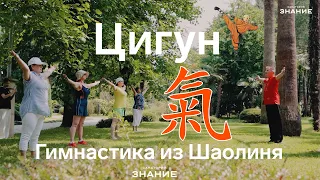 Цигун в санатории "Знание"