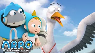 Bird ATTACK! - ARPO the Robot | | Cartoons for Kids | Robot Animation