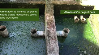 Biofiltro: Aspectos técnicos del funcionamiento y mantenimiento. II