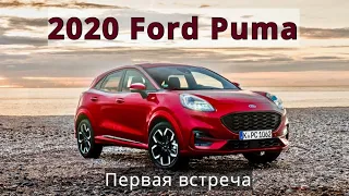 2020 Ford Puma, первая встреча - КлаксонТВ