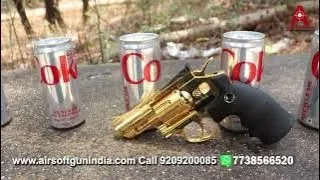 Dan Wesson 2 5 Golden BB Revolver Shooting Coke Cans and Fun!!!