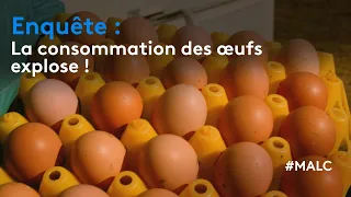 Enquête : la consommation des oeufs explose !