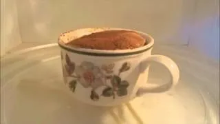 60 Second Muffin