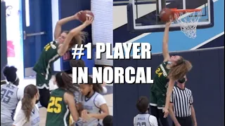 Elle Ladine - #1 Player in NorCal - University of Washington Commit - 11/20/21 Highlights