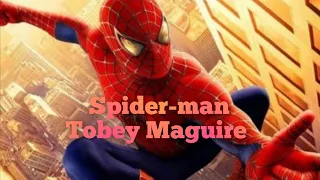 Spider-man/Tobey Maguire - Spider Verse