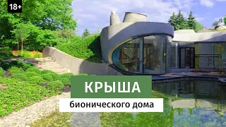 Крыша бионического дома. Зеленая крыша.