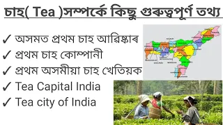 ADRE 2.0 //Assam economy// Tea Industry of Assam