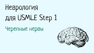 Неврология для USMLE Step 1 - Черепные нервы (часть 1)