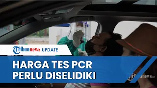 Dianggap Lebih Mahal dari India, Komisi IX DPR Sebut Harga Tes PCR di Indonesia Perlu Diselidiki