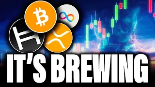 THE CALM BEFORE THE STORM | BITCOIN & CRYPTO NEWS