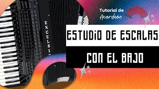 🎹 ESCALAS CON LOS BAJOS DEL ACORDEON - TUTORIAL PARA BAJOS STANDAR ( STRADELLA )