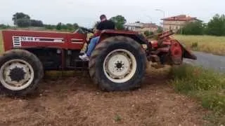 FIAT 70-66 A LAVORO