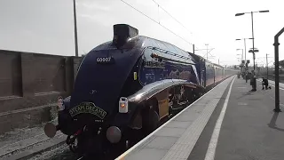 WHISTLE!!! | 60007 "Sir Nigel Gresley" puts on a SPECTACULAR show at Rugby | 11/05/24