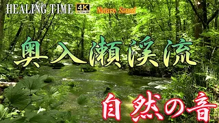 【4K自然音】初夏の奥入瀬渓流　　作業や勉強　リラックス　Oirase Keiryu in early summer, 2022  Nature Song#32