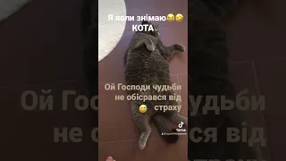 Я коли знімаю КОТА😂🤣😅