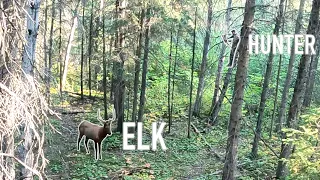 "The Impossible Shot" Traditional Archery Bull Elk!