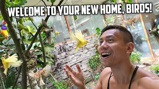 Releasing Our New Flock of Songbirds Into Our Revamped Giant Aviary | Vlog #1697