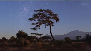 Starry Nights of Kilimanjaro