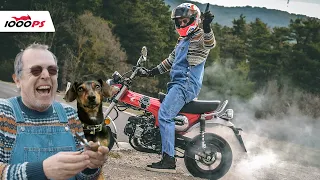 Honda DAX 125  Test 2023 - Who let the Dogs out?