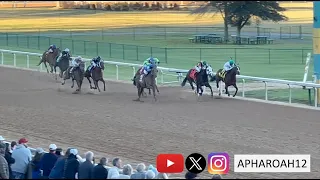 2024 Kentucky Derby Winner Mystik Dan’s First Start of 2024 in Smarty Jones Stakes