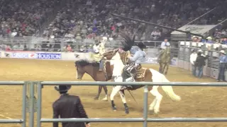 Houston Rodeo 2016 Highlights